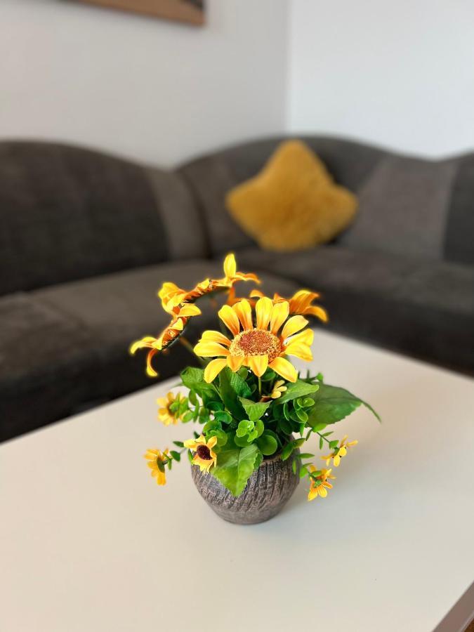 House51 Apartment Brasov Luaran gambar
