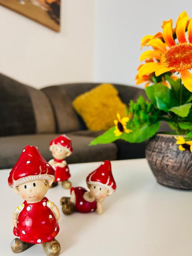 House51 Apartment Brasov Luaran gambar
