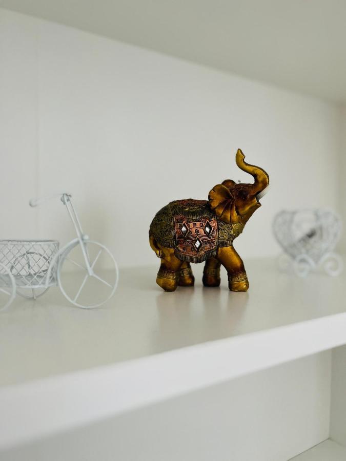 House51 Apartment Brasov Luaran gambar