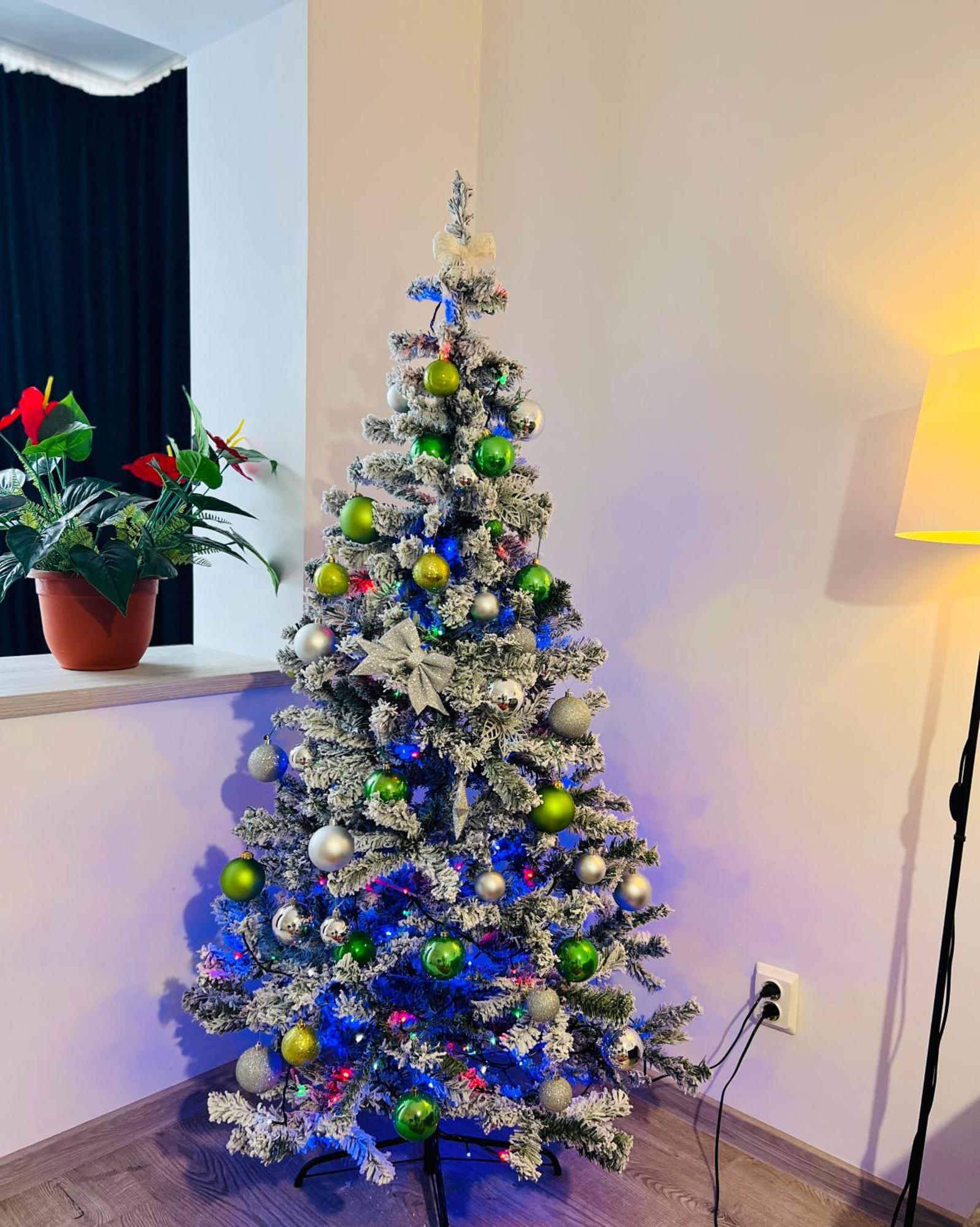 House51 Apartment Brasov Luaran gambar